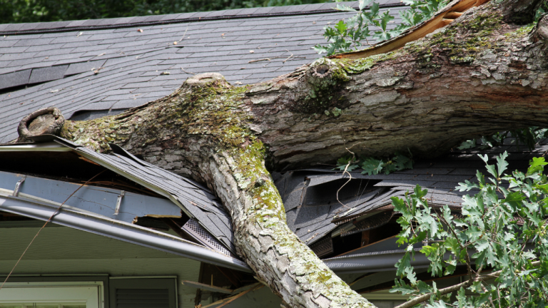 Worried About Extreme Weather? Home Insurance Can Provide a Financial Lifeline | Bankrate