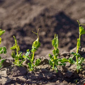 Cybersecurity Teams Hit by Lowest Budget Growth in Five Years