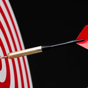 SEO Poisoning Targets Chinese Users with Fake Software Sites