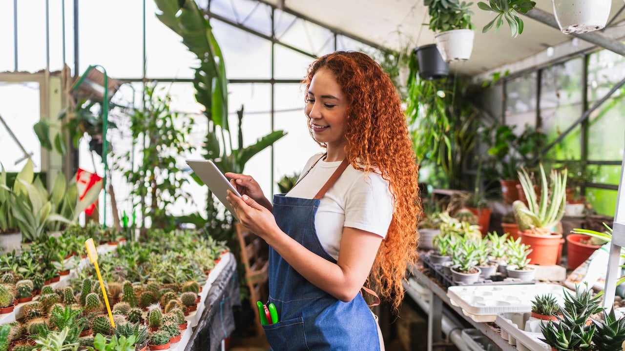 The August Small Business Landscape Is Volatile | Bankrate