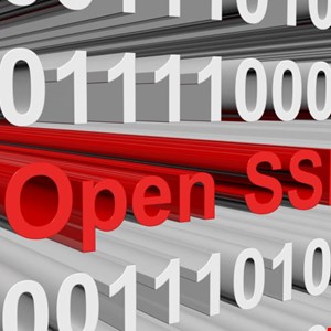 Autonomous System Uncovers Long-Standing OpenSSL Flaws