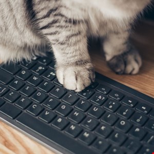 Multi-Stage “BadPaw” Malware Campaign Targets Ukraine